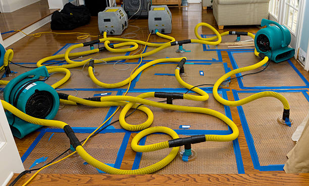 Professional Basement Flood Cleanup technician working in Tripoli, WI